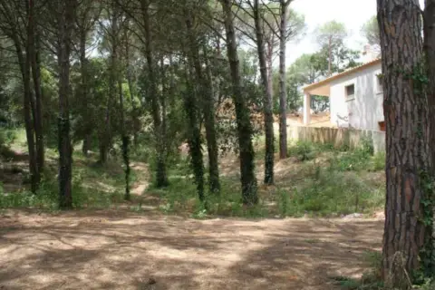 Terreno en Mas Pere-Río de Oro