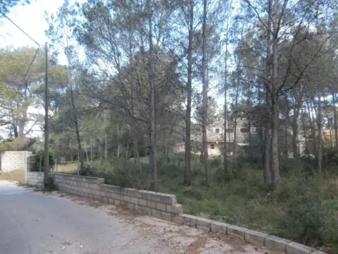 Land in calle Valletes Bru