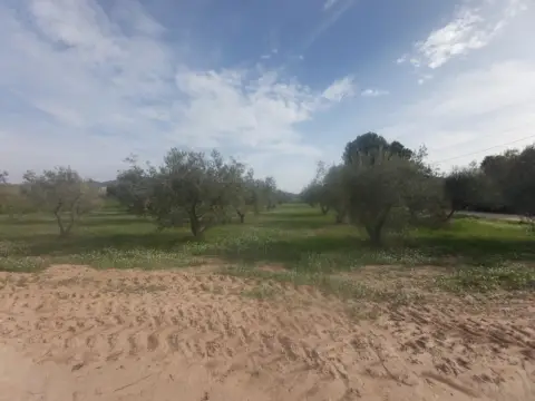 Terreno en Casas de Cabanes - Las Fuentes