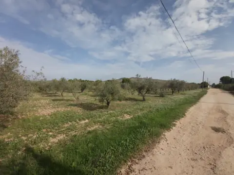 Terreno en Casas de Cabanes - Las Fuentes