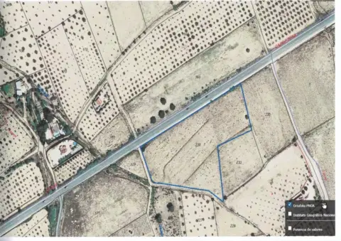 Terreno en Carrtera de Cañada
