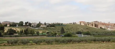 Terreno en calle de los Tejares
