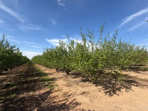 Finca rústica en Eixample 5