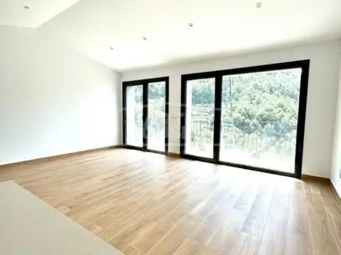 Apartamento en calle Carretera D' Engolasters