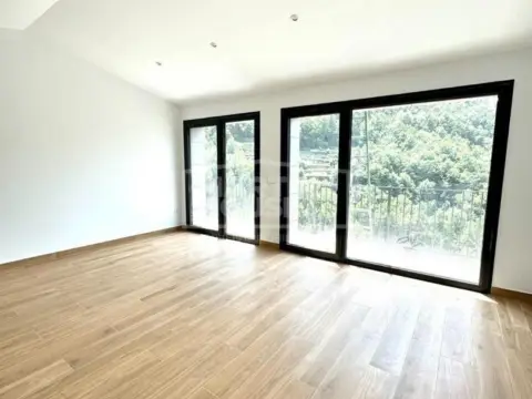 Apartamento en calle Carretera D' Engolasters
