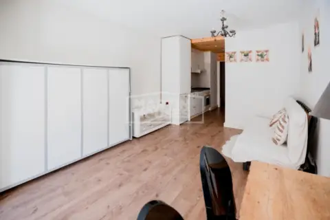 Studio for rent in Pas de la Casa, Encamp · 33 of 59