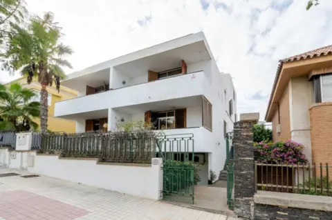 Casa pareada en calle Teniente C Castillo Oliva