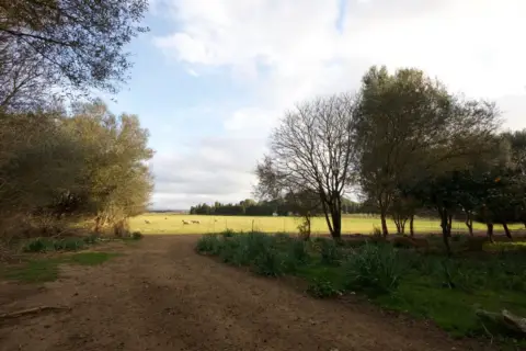 Finca rústica en Llucmajor (Campo)