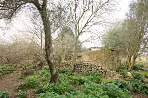 Finca rústica en Llucmajor (Campo)