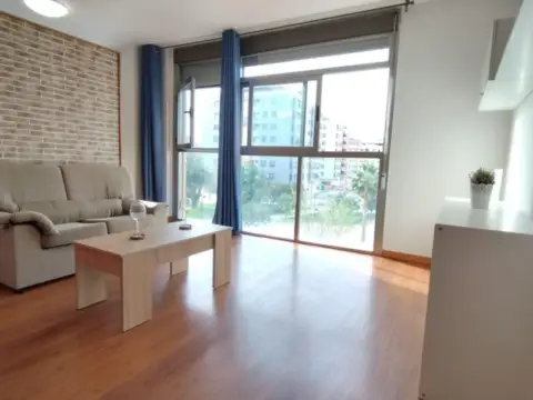 Estudio en Juan de Borbon