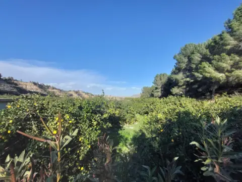 Terreno en calle Camino Cañada Umbría