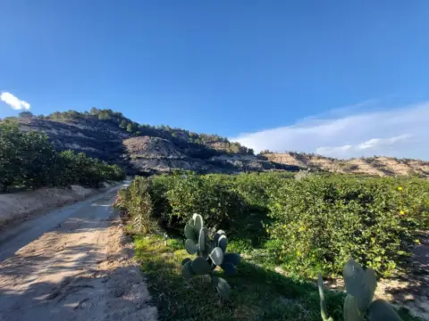Terreno en calle Camino Cañada Umbría