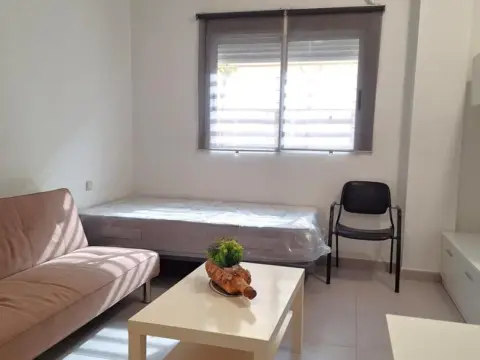 Estudio en La Ñora