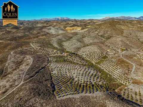 Chalet en calle Paraje Zarzalico