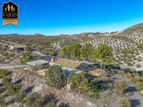 Chalet en calle Paraje Zarzalico