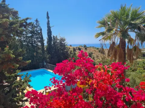 Pavillon à calle de Uruguay