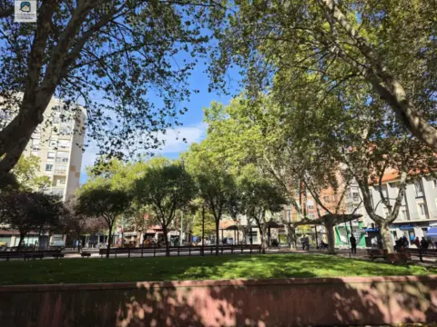 Estudio en calle de Higinio Mangas