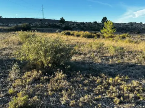 Terreno en Gran Avenida