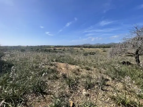 Terreno en calle Poligono , Parcela