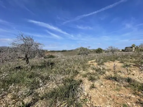 Terreno en calle Poligono , Parcela