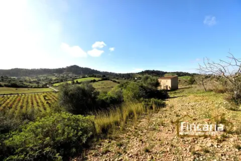 Terreno en calle Camí de Son Cladera