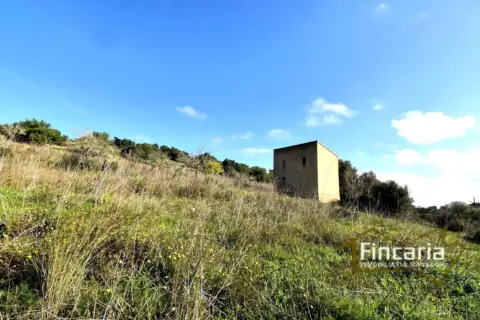 Terreno en calle Camí de Son Cladera