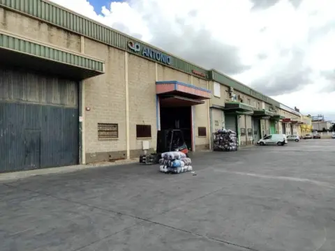 Nave industrial en Carretera de Pinos Puente