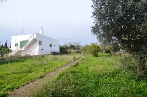 Terreno en Alqueria Blanca