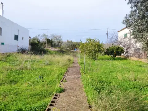 Terreno en Alqueria Blanca