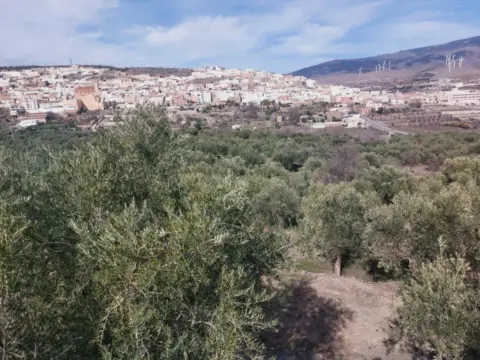 Casa en calle Hermanos Tena Artigas