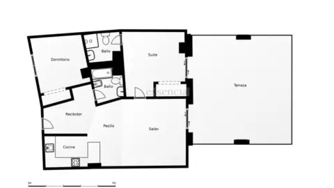 Apartamento en Playa de Guardamar