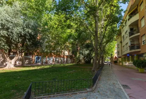 Piso en Paseo del Ingeniero Sebastián Feringán