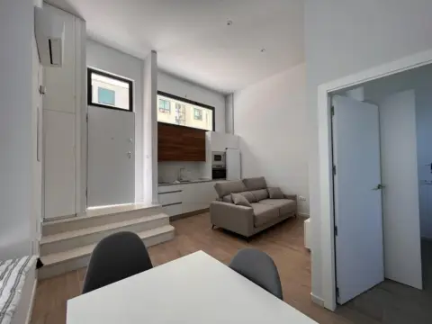 Estudio en Juan Carlos I