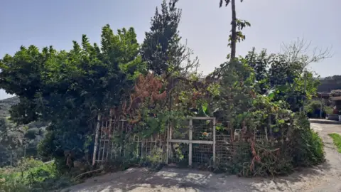 Casa en Valsequillo