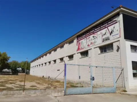 Nave industrial en Avenida de Alonso Martín