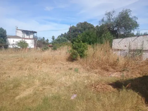 Finca rústica en Andalucia