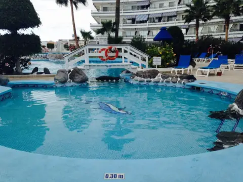 Estudio en calle Colon, 2