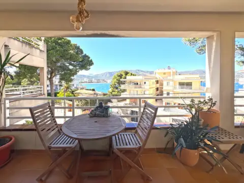 Apartamento en Palmanova
