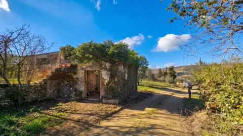 Finca rústica en Plaza Pp 6,7,8,9,10,12,13,14,15
