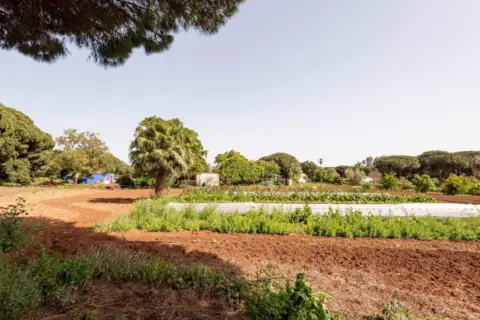 Finca rústica en Costa de La Luz