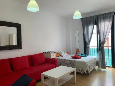 Estudio en El Ejido-La Merced-La Victoria