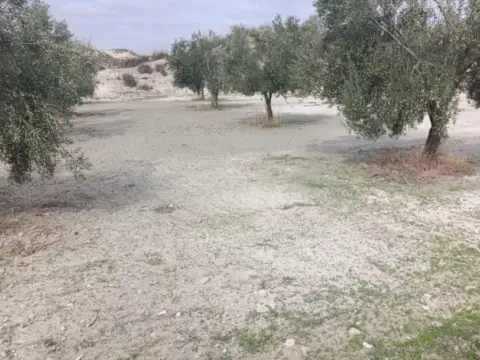 Terreno en calle P8Ch+5Hh los Olivos