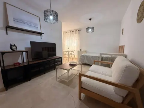 Estudio en El Ejido-La Merced-La Victoria