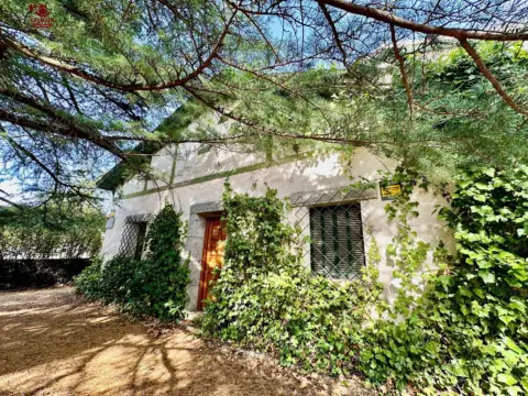 Chalet en Avenida de La Concordia