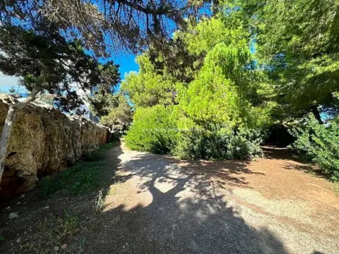 Terreno en Avinguda Cala Martina