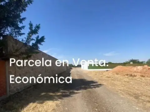 Terreno en calle Ur los Zamoranos