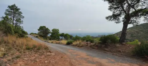 Terreno en Urbanització el Rodén, 328