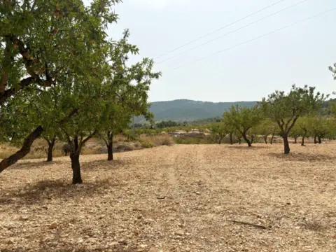 Finca rústica en calle Ch Xirivell