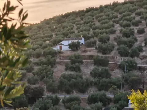 Finca rústica en calle Cierzos y Cabreras