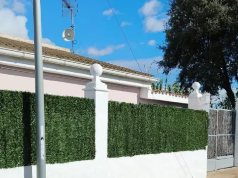 Chalet en Avenida de Peñaflor